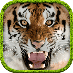 终极银河贵宾网址模拟器官方版下载-终极模拟银河贵宾网址游戏手机版下载 v1.5 安卓版